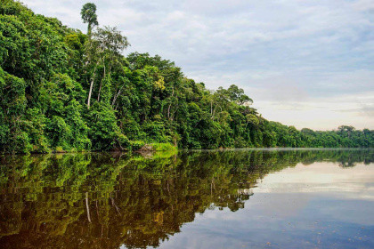 Yanayacu La Selva de los espejos 4D/3N